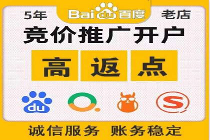 行业领先企业的网络推广与竞价经验